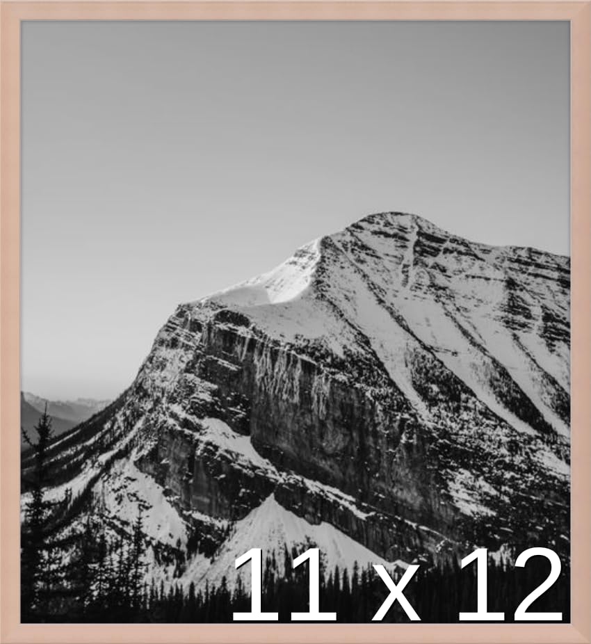 Frame It Easy 11 x 12 Rose Gold Metal Frame (Ashford)