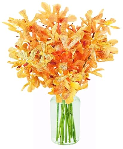 DELIVERY by Fri, 02/09 Guaranteed IF Order Placed by 02/08 Before 2PM EST.KaBloom Valentine's PRIME NEXT DAY DELIVERY - Heart of Gold Mokara Orchids (20 stems) - with Vase Gift for Valentine