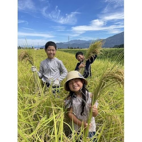 [定期便]南魚沼塩沢産 従来型コシヒカリ 白米5kg×6回(定期便)