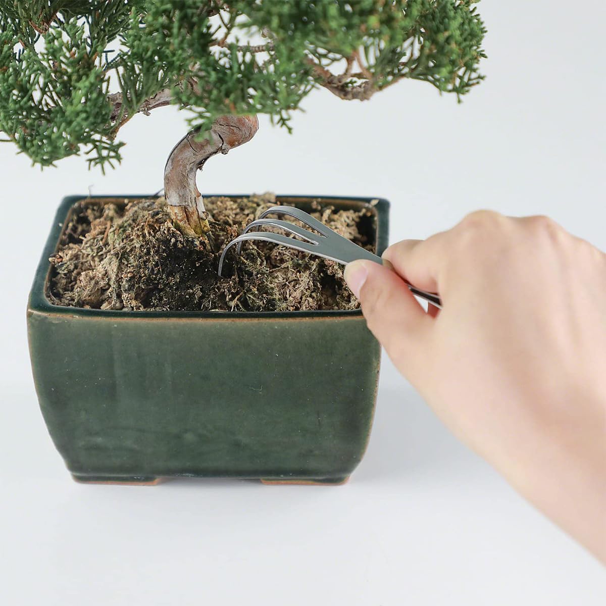 Sarini Pinzetta per Bonsai 2 in 1 con rastrello per Radici - Pinzetta da Giardinaggio di precisione in Acciaio Inossidabile, Strumento Professionale per Bonsai da 220 mm (8,6 Pollici)
