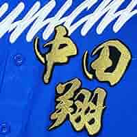 Amazon.co.jp: 中日 ドラゴンズ 刺繍ワッペン 中田 翔 毛筆 名前