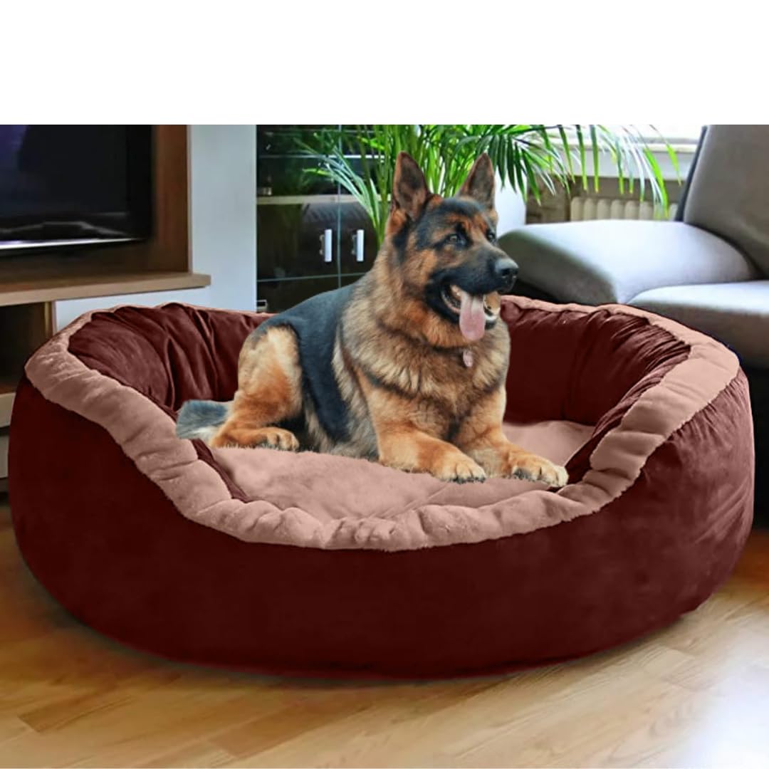 DRILLY Washable Dog/cat Bed for Small|Medium | Large| Extra Large | XXL | XXXL | 4XL Size Dogs | Cats | Puppy | pet | Rabbit | Persian cat | Indoor cat (S) (B0D9NN3MNY) Amazon Price History, Amazon Price Tracker