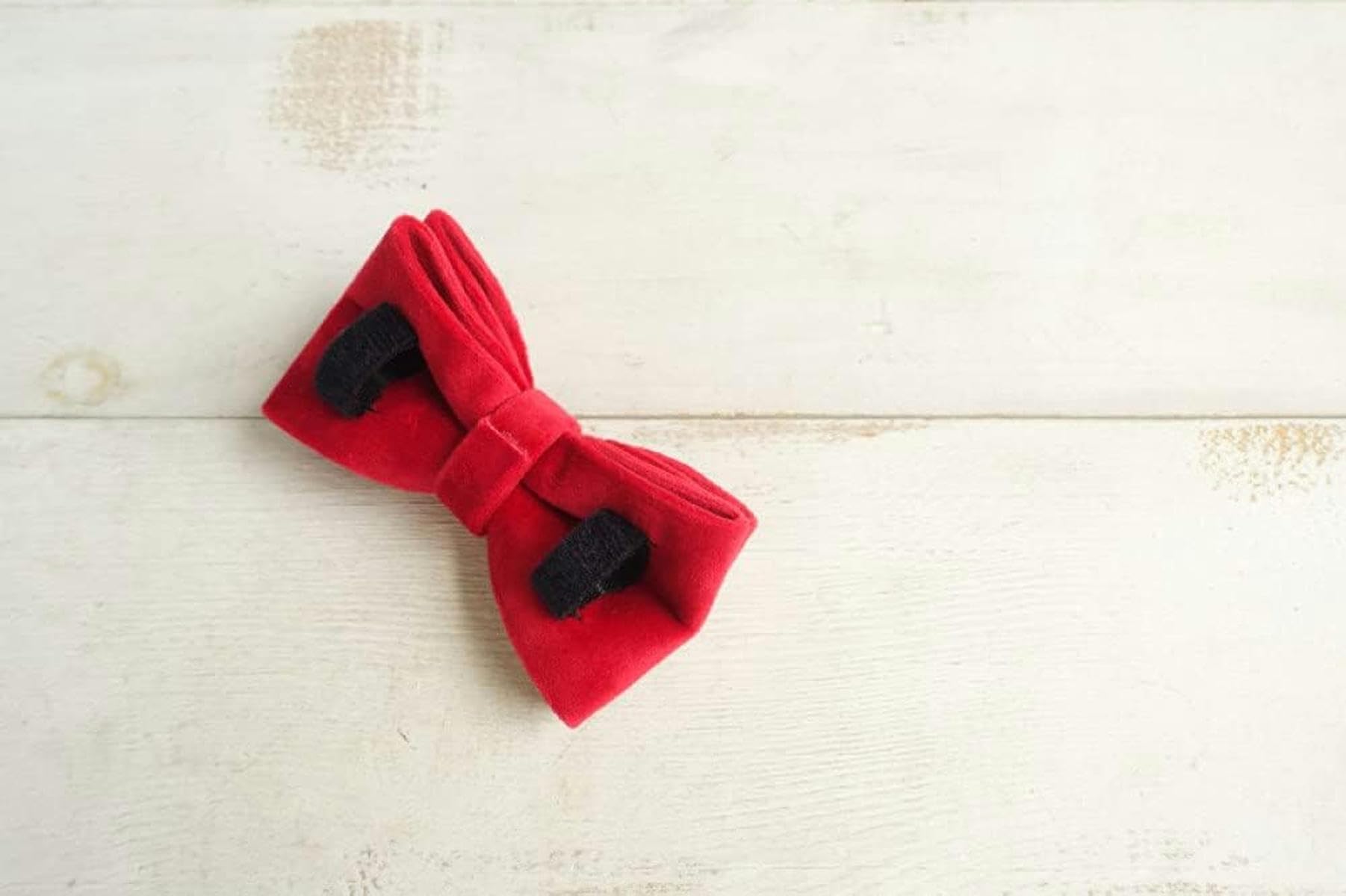 collare per cani personalizzato guinzaglio regolabile collare con targhetta per cuccioli 5 misure-collare con papillon-xs