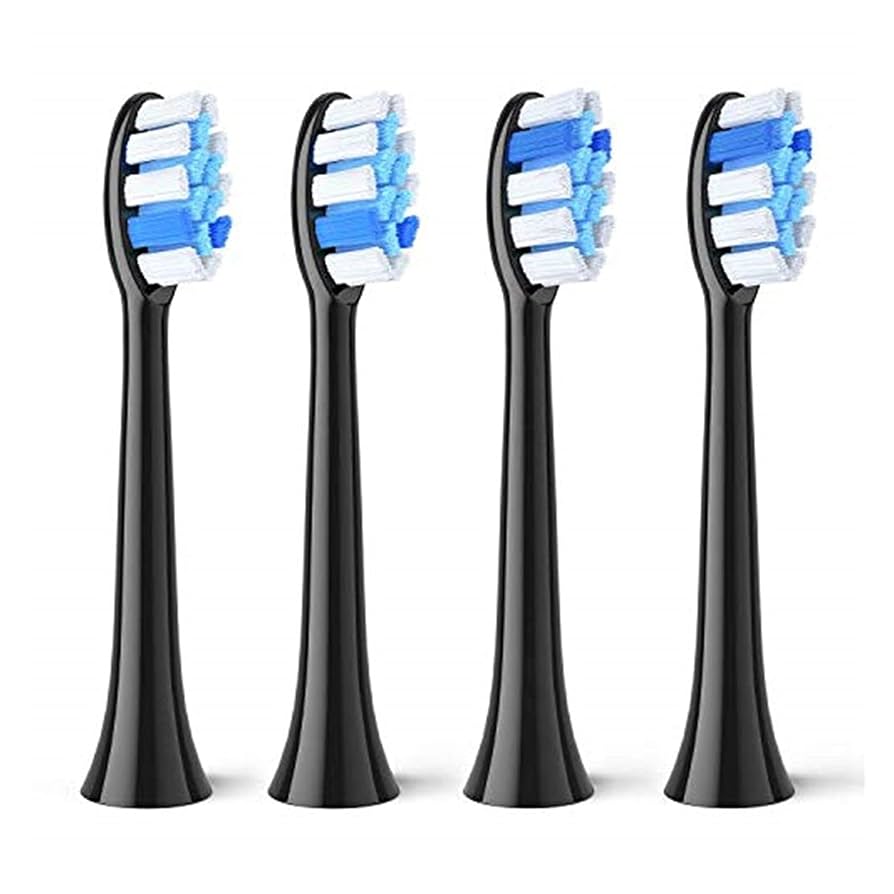 絶版 美品 Delphi 魔法のTIPS500　EXPERTGIG開発室編 ヘアタイムセス 107D Plus キューラ [頭皮料]（スカルプ