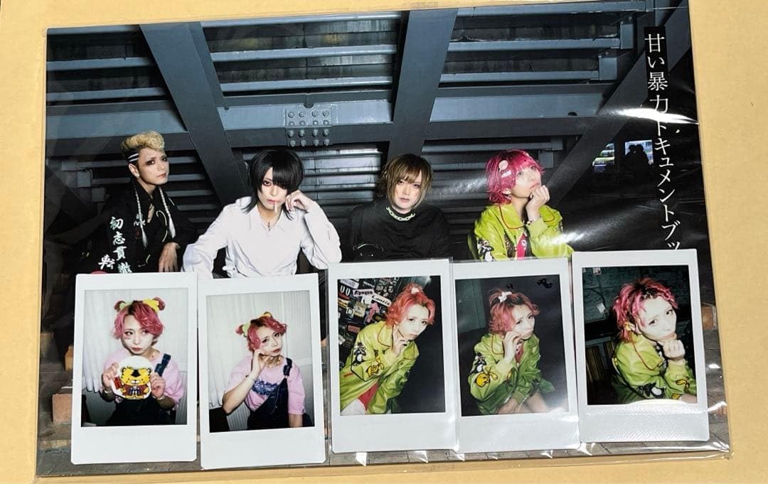 甘い暴力 ドキュメントブック チェキセット