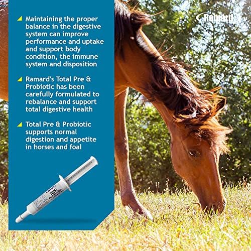Ramard Total Prebiotic and Probiotic Equine Formula — Advanced Digestive Health Supplement for