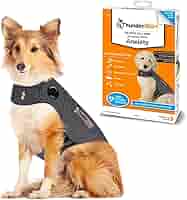 AOOLMOL Dog Anxiety Vest And Coat, Vet Visits And