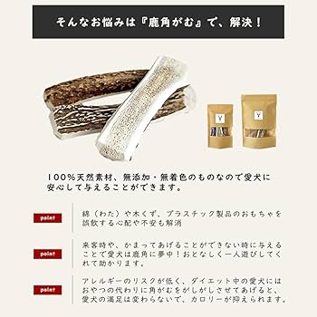 鹿の角(日本鹿) 8本セット リーフ 国産 鹿の角 オブジェ Mサイズ 2250001963615 1個（直送