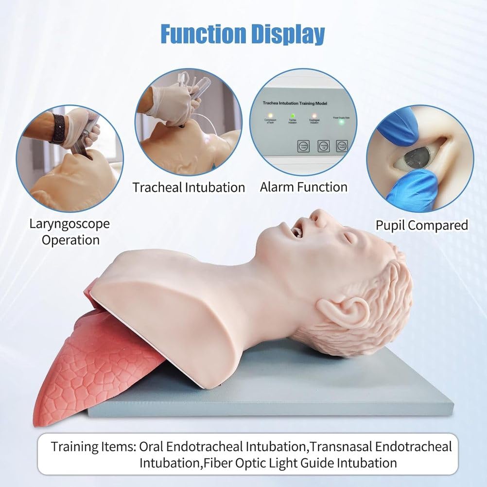 Modello di allenamento per intubazione tracheale, simulatore elettronico anatomico per adulti con allarme di pressione per la gestione delle vie aeree orofaringee