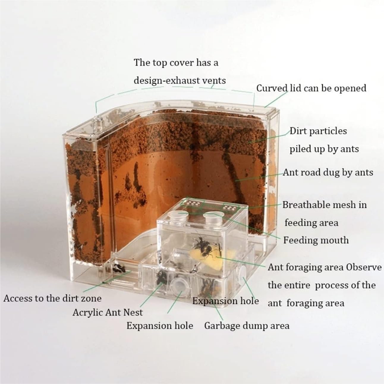 Ferme de Fourmis Nid de Fourmis Maison Château Rempli de Sable d'Argile Professionnel Ant Nest Habitat 1pcs