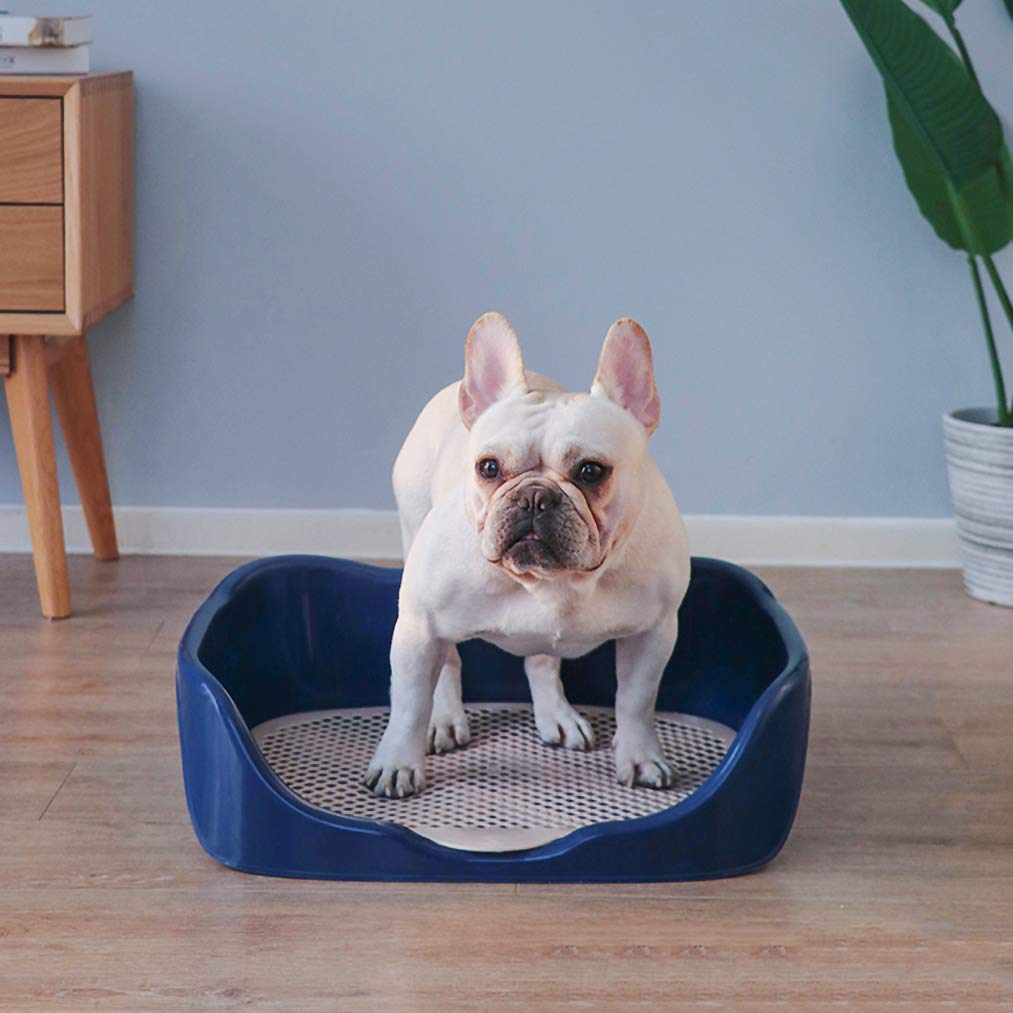 ADASP Hundetoilette Indoor - Welpen Training Tablett Mit Pinkel-Pfosten - Für Balkon & Wohnung