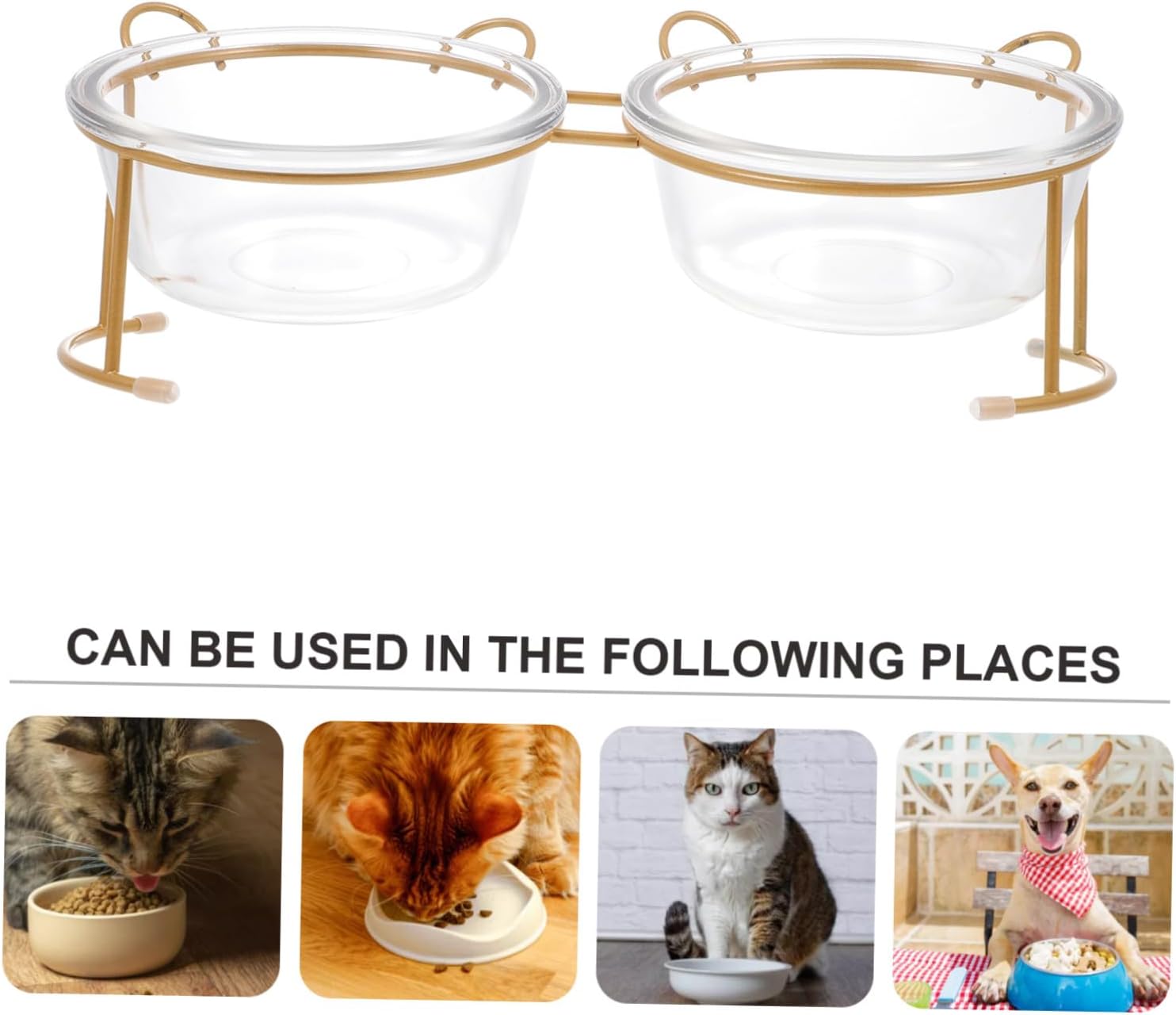 Raised Glass Cat Bowl with Bright Gold Iron Stand Non-Slip Dual Pet Feeding Bowls for Dogs and Cats Smooth Polished Edges for Safe Indoor Use Stable Design Prevents Overturning