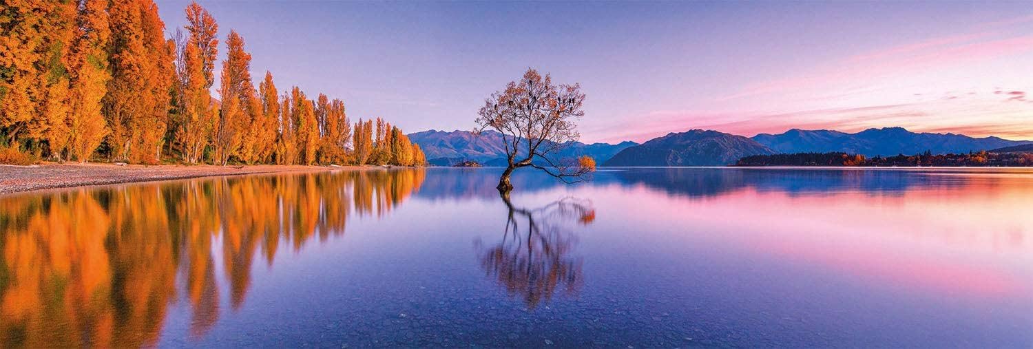 Il Puzzle Puzzle Adulto da 6.000 pezzi dell'Albero Solitario di Wanaka