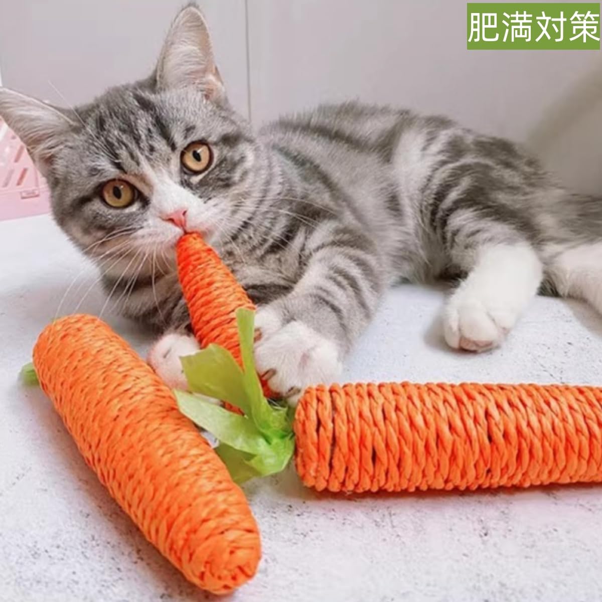 Amazon.co.jp: 猫 にんじんおもちゃ3個入り かわいい猫歯ぎしり棒 鈴