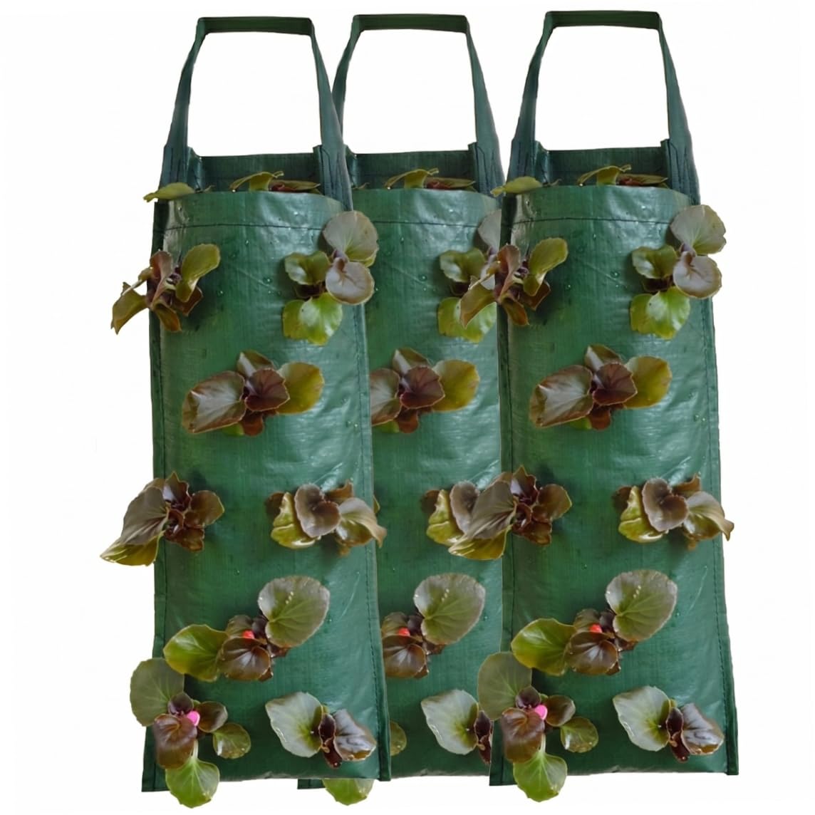 Hotainoys Hanging Strawberry Planter, 3 Pcs Vertical Upside Down Planter, 8-pocket Tomato & Herb Grow Bags for Small Spaces