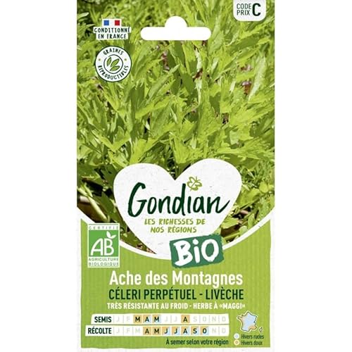 Gondian - Ache des montagnes Céleri Perpétuel-Livèche bio