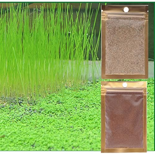 2 Pack Aquarium Grass Aquarium Water Grass Aquarium Small Leaf Grass and Long Hair Grass for Aquarium Fish Tank（10g Small Leaf and 10g Long Hair ）