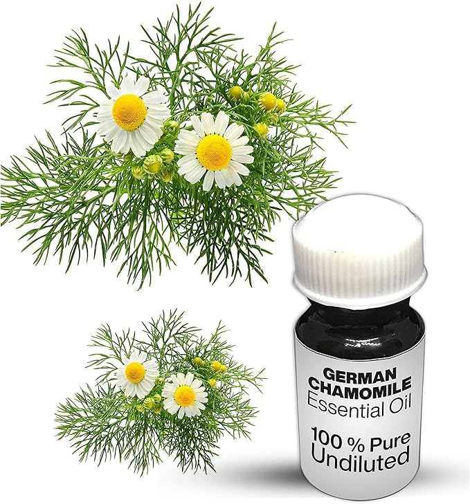 Huile essentielle de camomille matricaire 100% pure et naturelle flacon de 10 ml