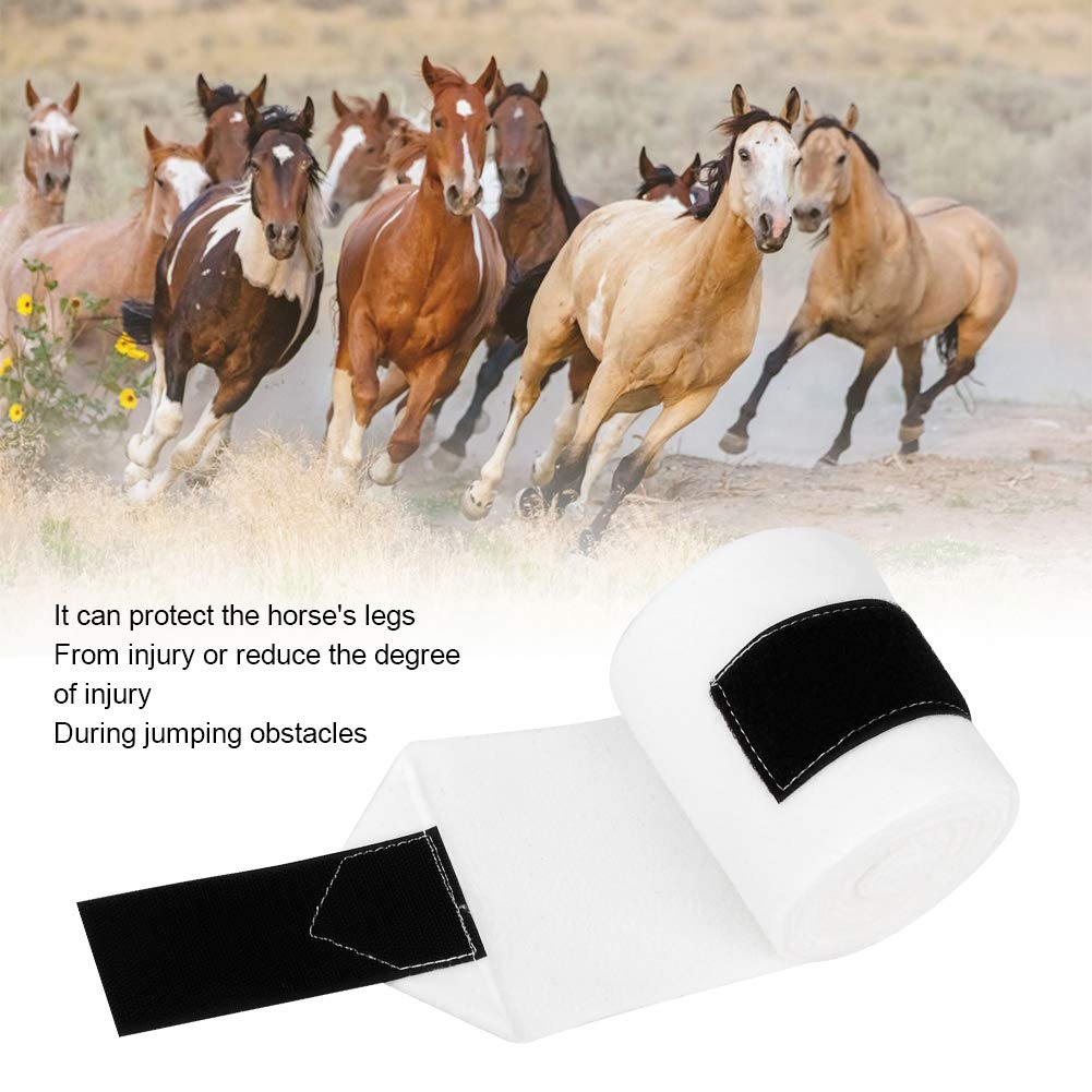 Guêtres Cheval Classic Equine - Taille 12CE - Noir