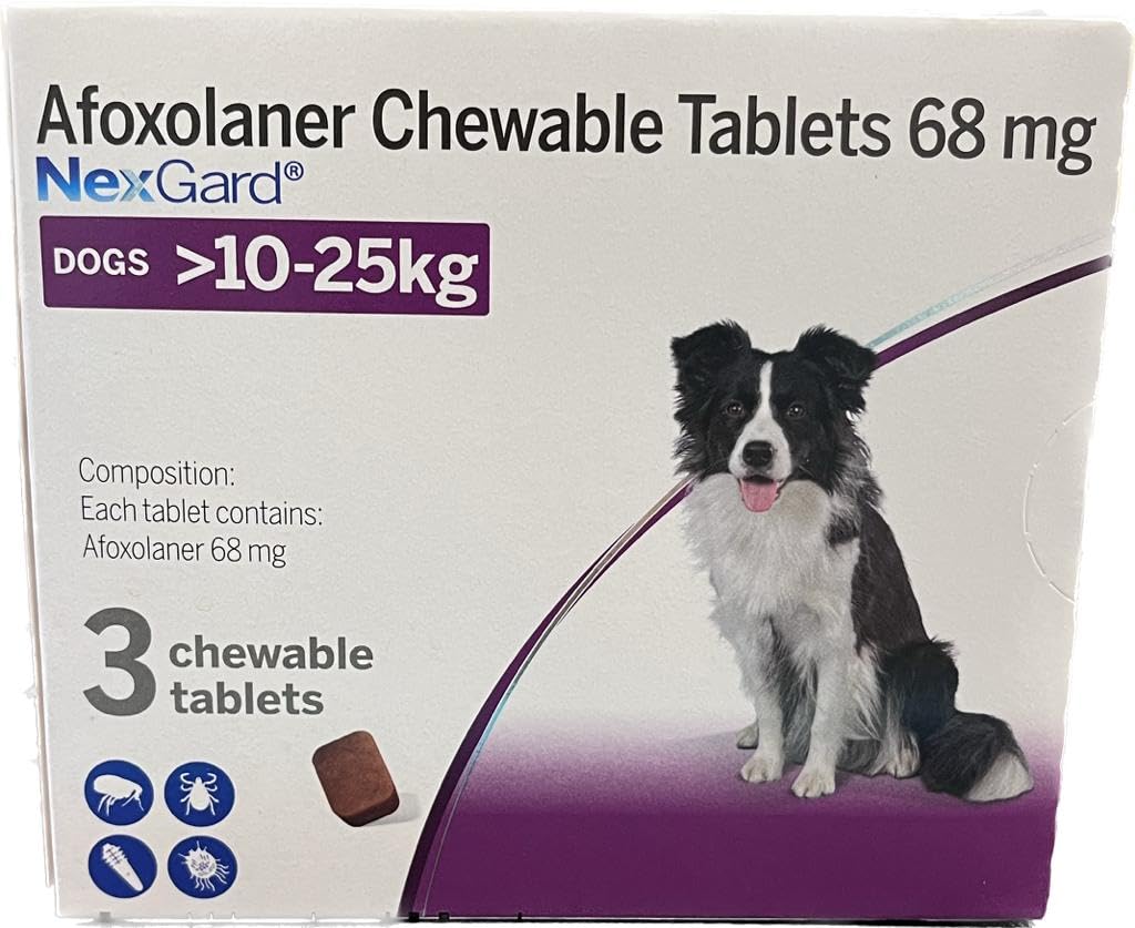 Nexgard Chewable Tablet Kill Ticks Fleas Lice Protect 12