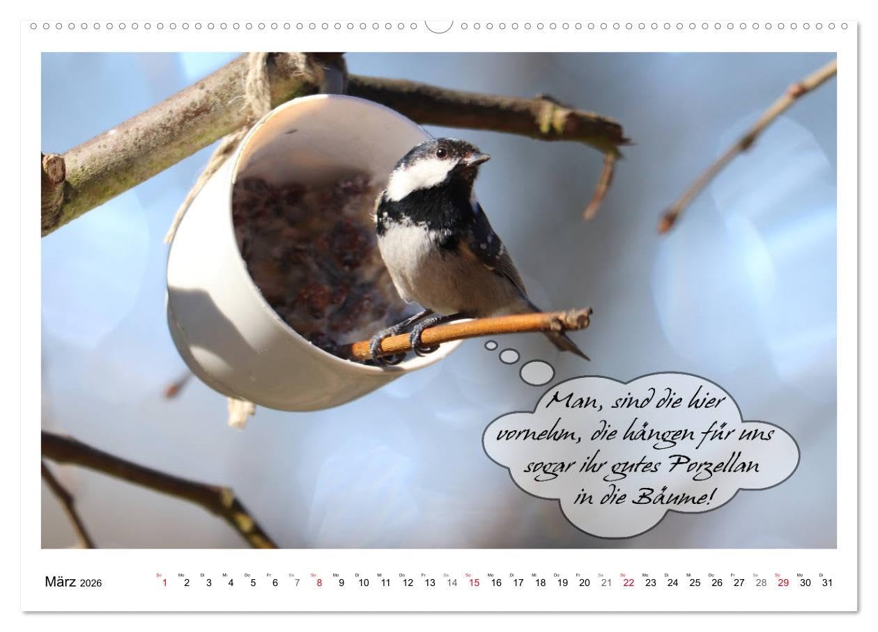 Vögel mit Humor (hochwertiger Premium Wandkalender 2026 DIN A2 quer), Kunstdruck in Hochglanz: Lustige Sprüche aus frechen Schnäbeln (CALVENDO Spass)