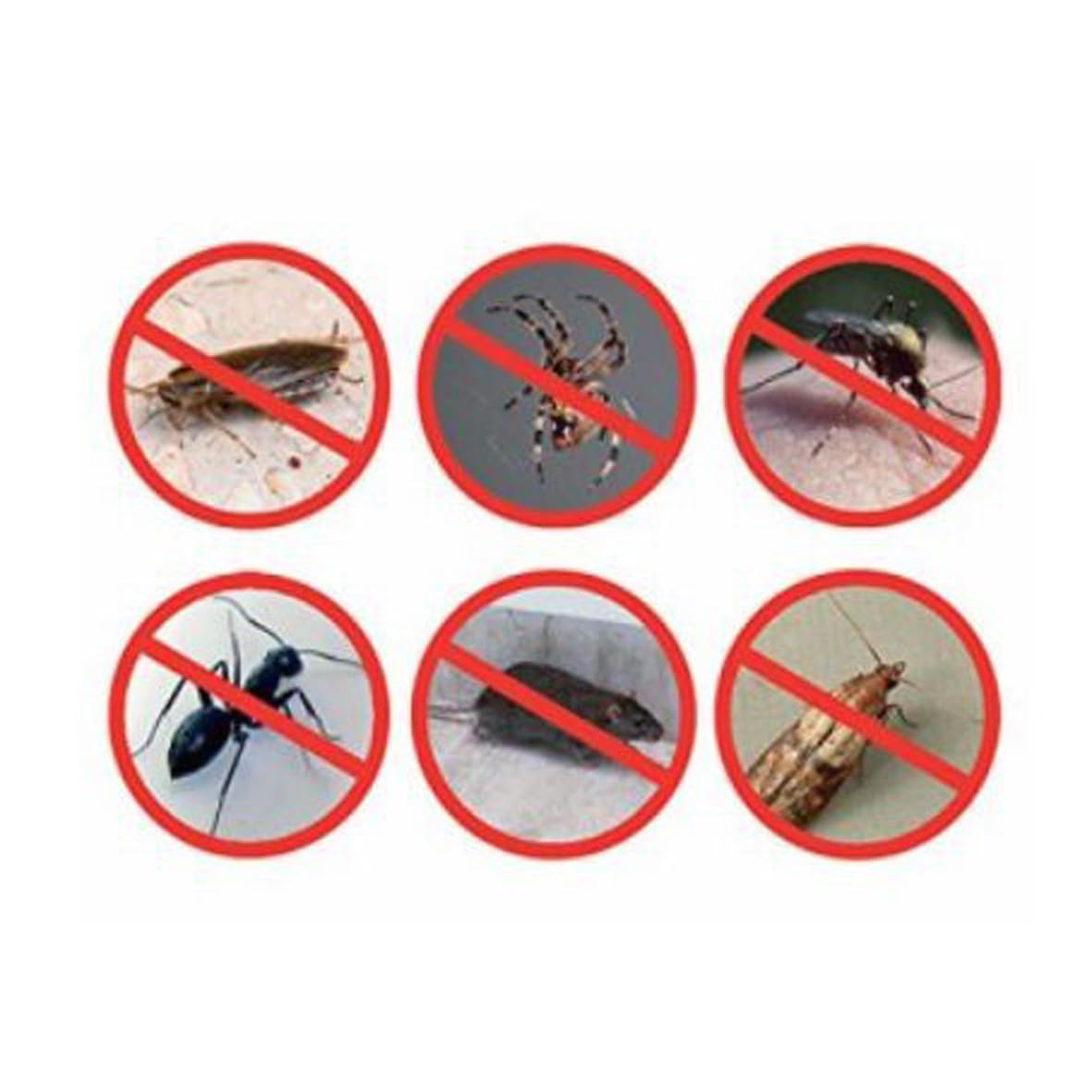 Repulse Power Reject Lot de 2 répulsifs contre les insectes et rongeurs
