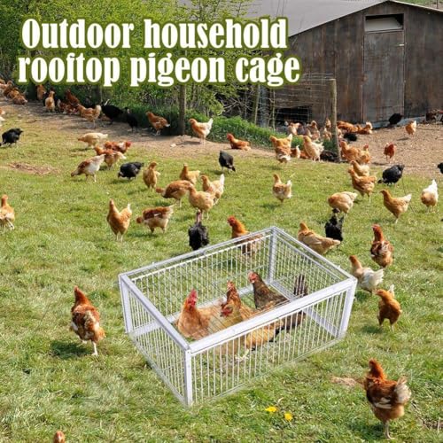 Cage à oiseaux portable à assembler pour vos sorties nature et élevage - 4