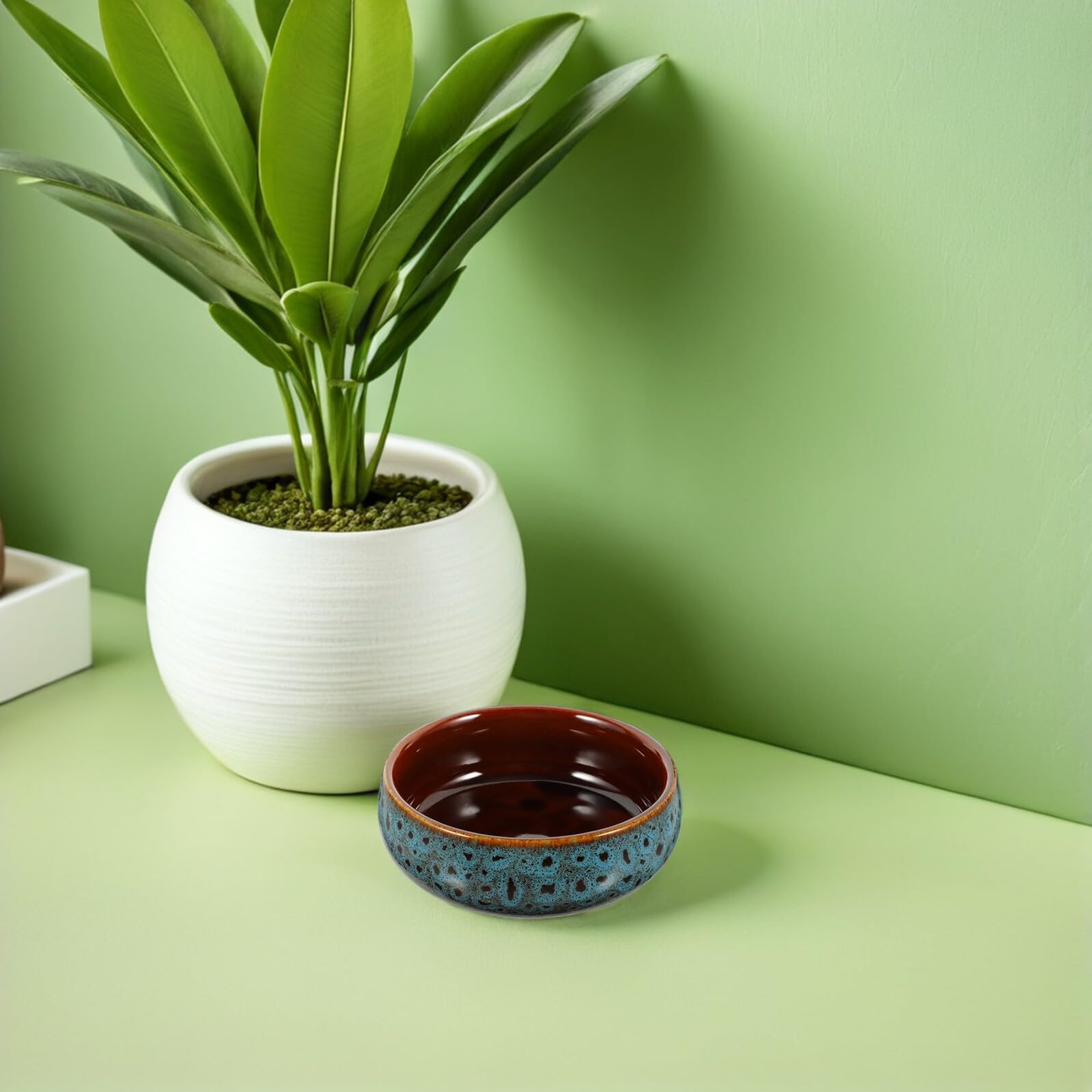 2 Szt. Szt Ceramiczne Doniczki Hydroponiczne Wodne Okrągłe Ceramiczne Misy Rośliny Wodne bez Otworów Do Uprawy Lotosu i Roślin Wodnych Stolik i
