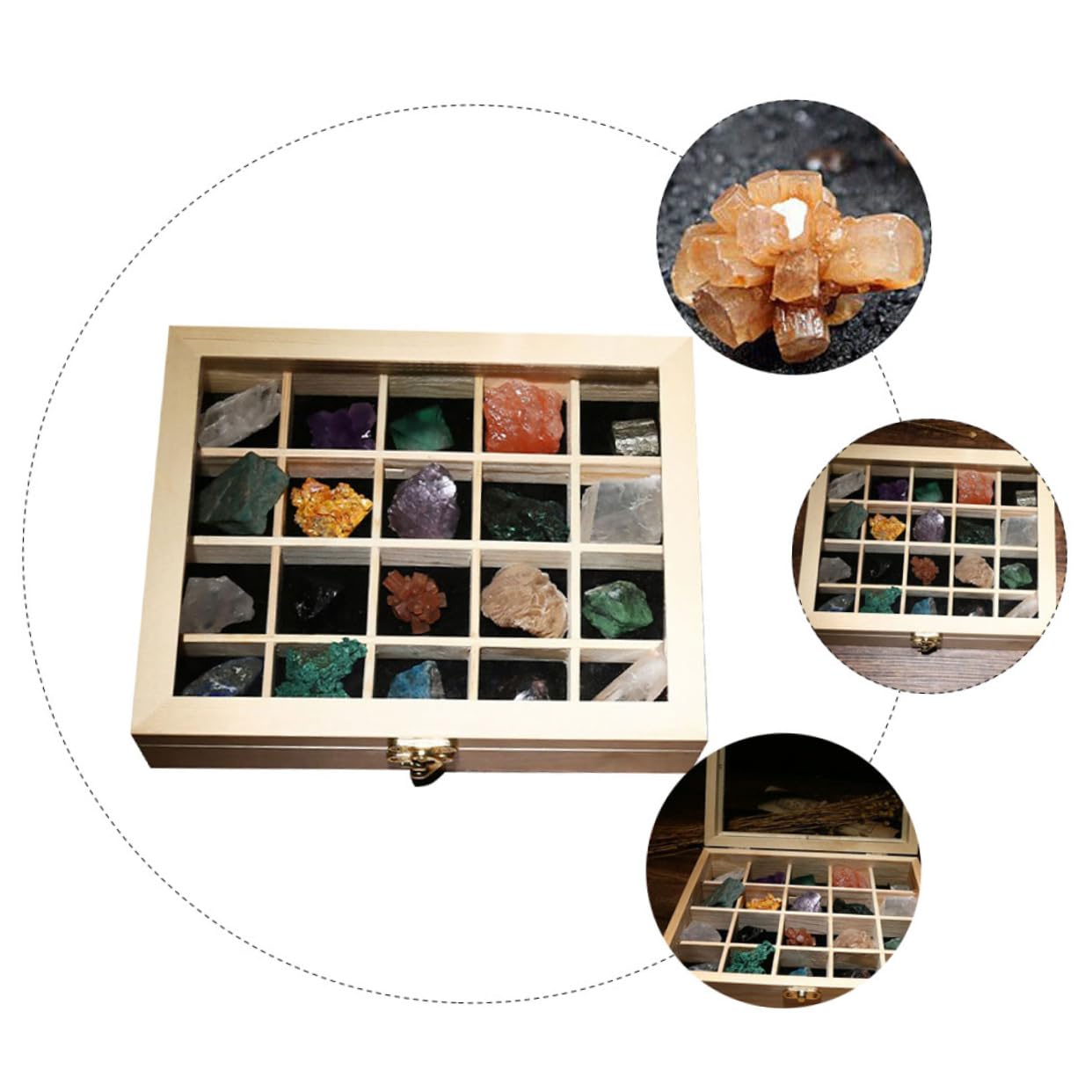 Healeved 20 Einzigartige Natursteine Sammelbox Dekorative Steine ​​für Zuhause Freunde Lehrmittel Für Aquarien Und Gärten