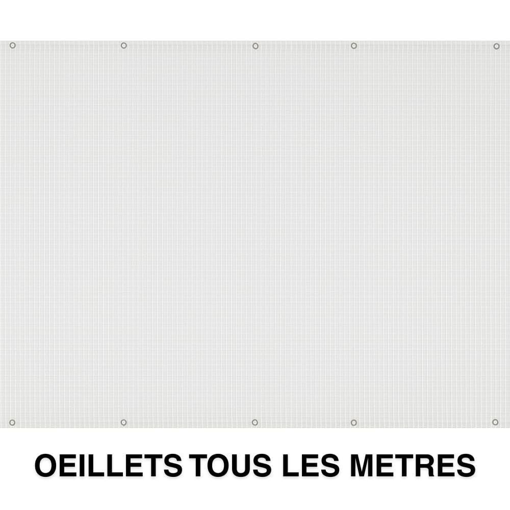 TERRE JARDIN Bâche de Protection, Extérieur Polyéthylène 160g/m² - Bâche Armée Imperméable, Ultra Résistante Découpable, Anti UV - Œillets Aluminium - Mobilier Serre Jardin - 4 x 6 - Transparent