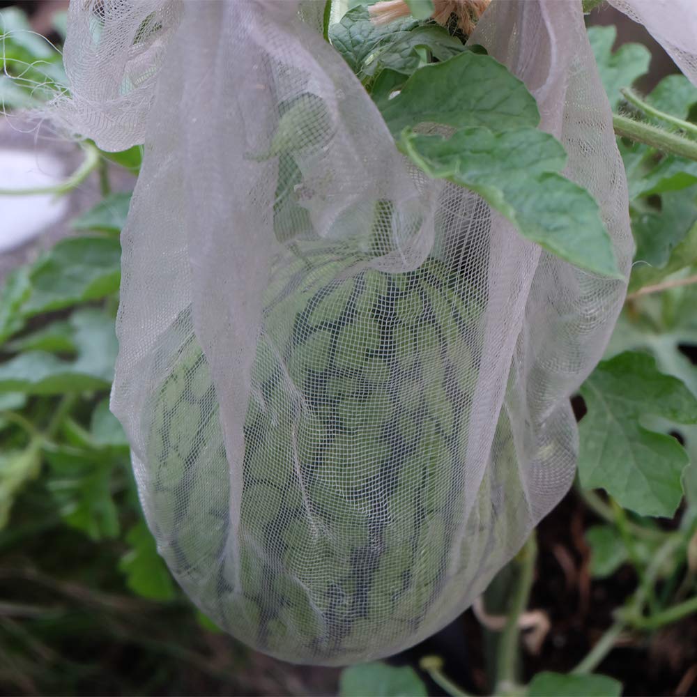 APOE Rete Anti Insetti e Anti Uccelli, Ortaggi Proteggi Reti Maglia Fine Barriera per Proteggere Piante, Fiori, Frutta e Verdura in Giardino, Bianca