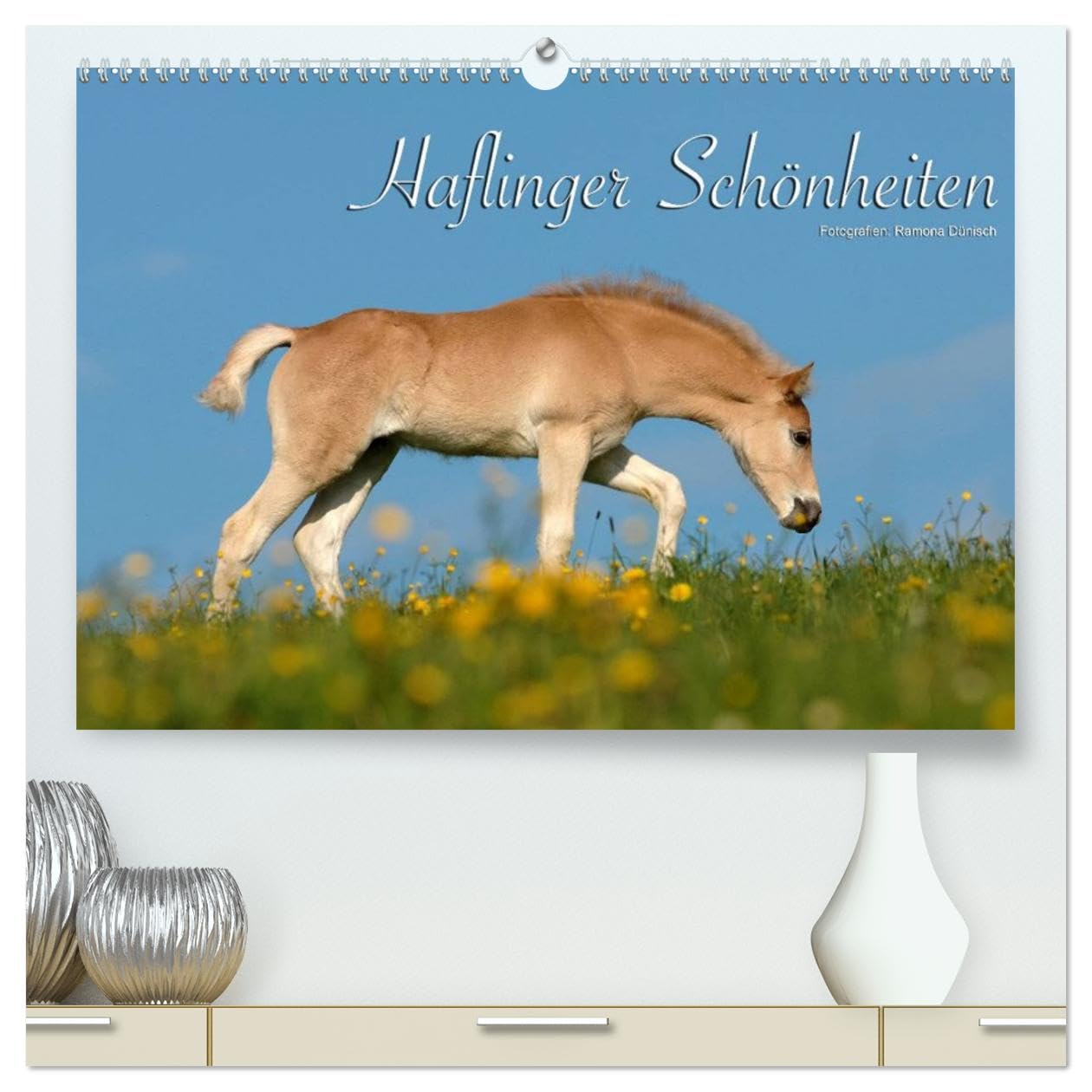 Haflinger Schönheiten (hochwertiger Premium Wandkalender 2026 DIN A2 quer), Kunstdruck in Hochglanz: Mit Haflinger-Pferden durchs Jahr (CALVENDO Tiere)