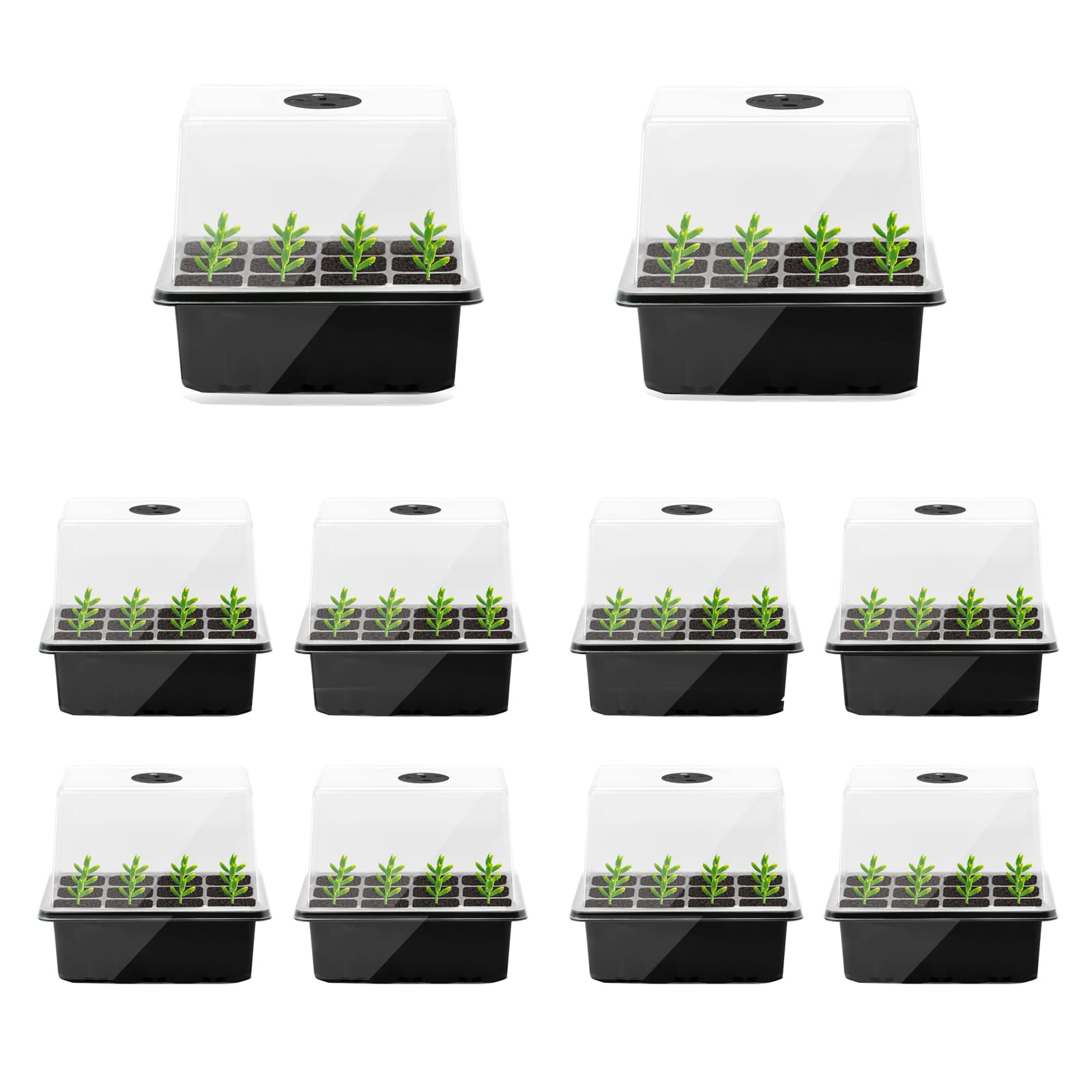 IMAYLLA Indoor Greenhouse Propagator 10 Pieces 120 Compartment Mini Trellis Growing Set Seedling Starter Tray with Timer Controlled Light and Covered Ventilation (Black)