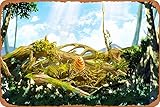 monster hunter stories oeuf de rajang  Cartel de metal de Monster Hunter Stories Game para decoración de pared del hogar, bar, cafetería, 12 x 8 pulgadas