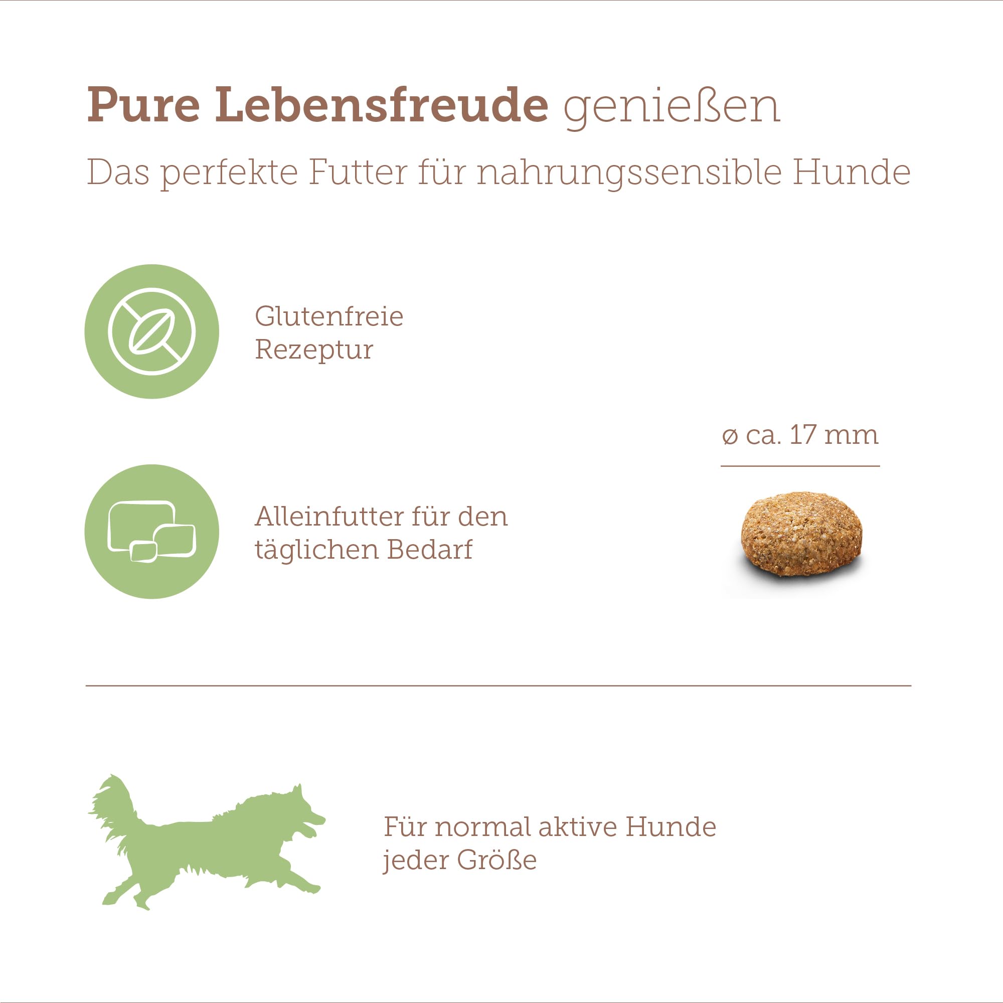 MERA Pure Sensitive Insect Protein Comida para Perros, alimento seco con proteína de Insectos para Perros sensibles, hipoalergénico y Respetuoso con el Medio Ambiente (12,5 kg)