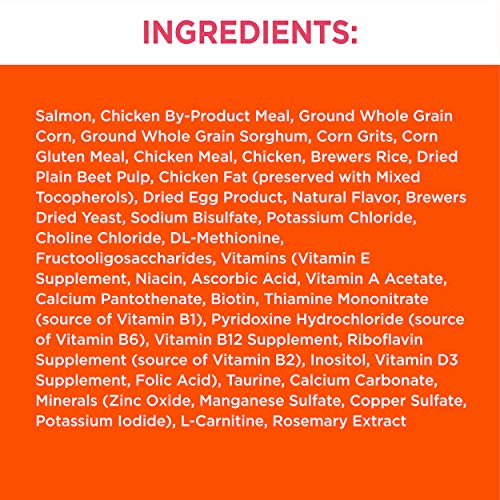 IAMS PROACTIVE HEALTH Adult Healthy Dry Cat Food with Salmon Cat Kibble, 7 lb. Bag - Image 4