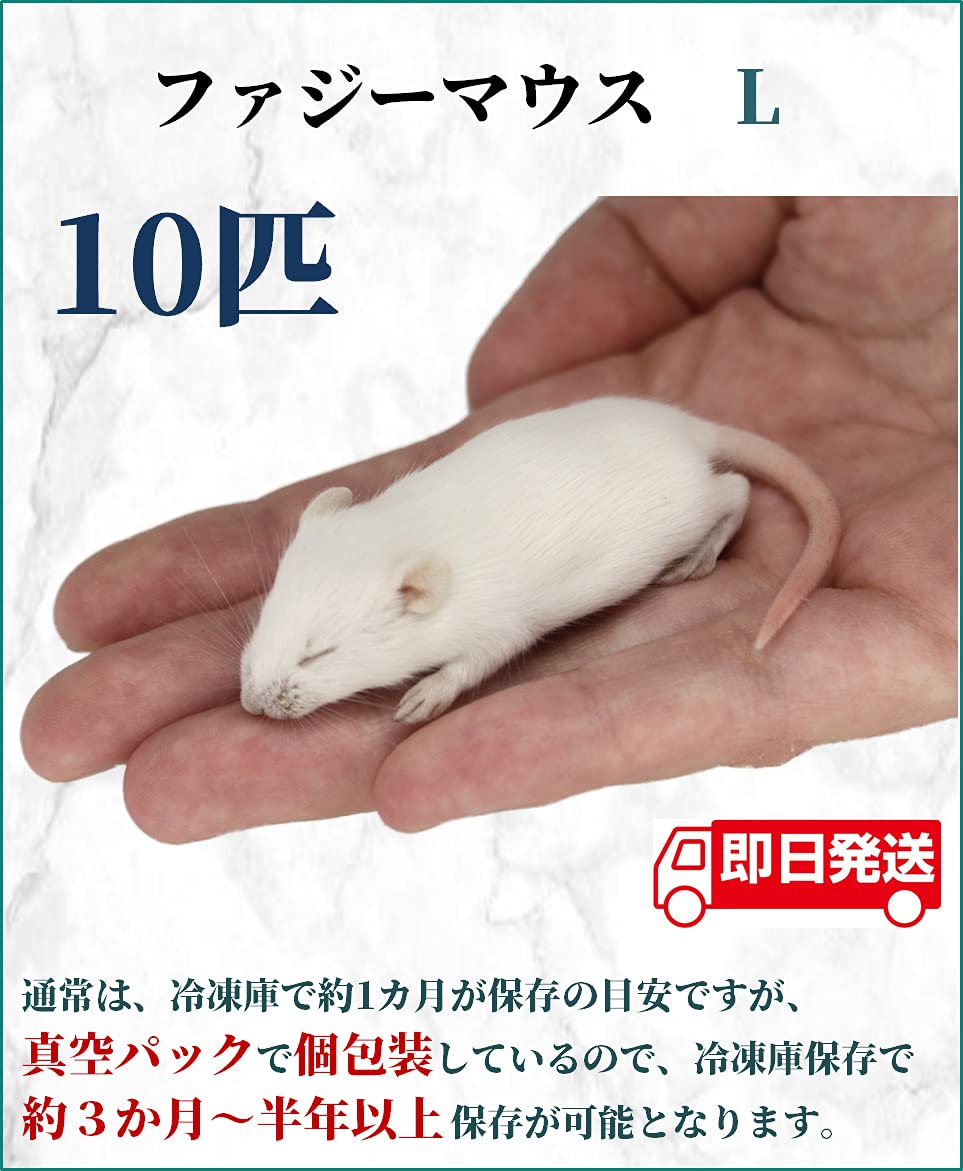 Amazon | ZAZOO 冷凍マウス ファジーL10匹 8.1〜10g 約5.5cm