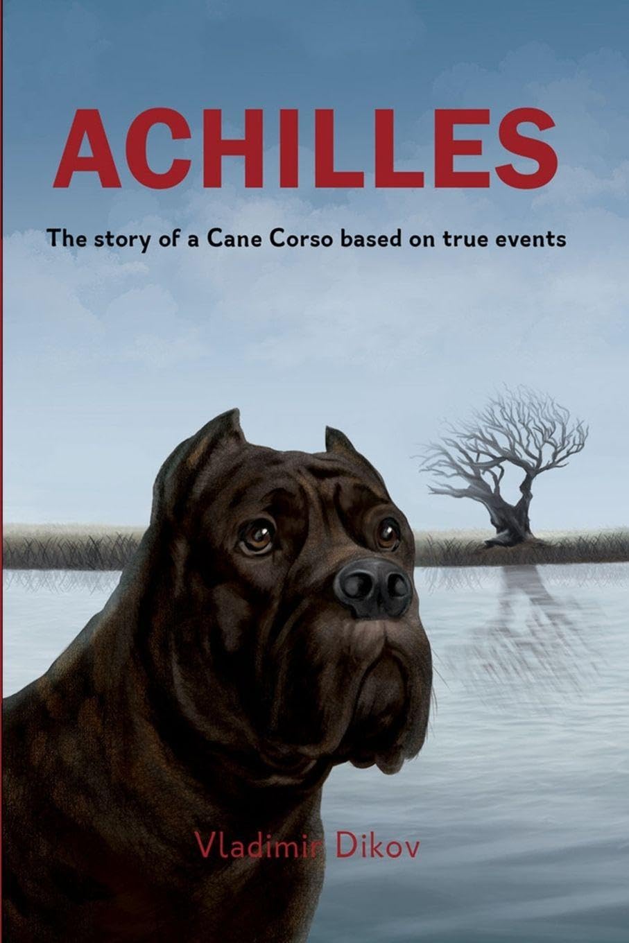 Achilles-A story about friends: A heartwarming family tale of loyalty and friendship based on true events