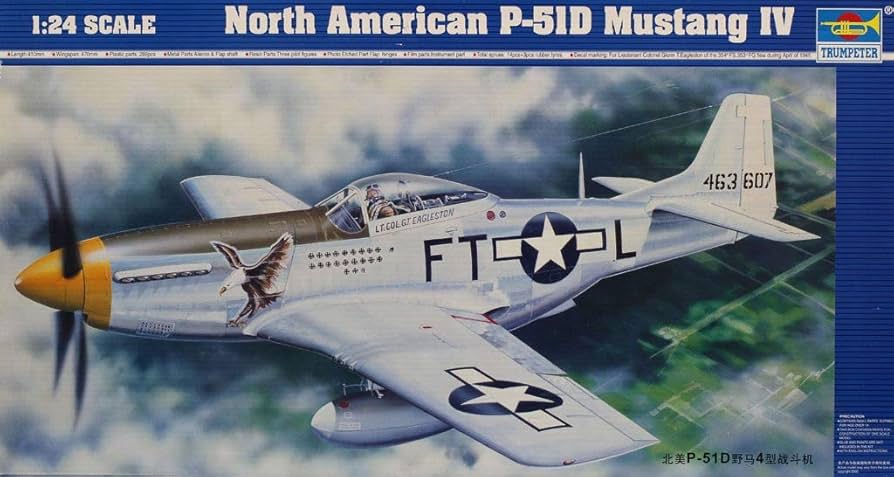 Amazon.com: Trumpeter 1:24 North American P-51 D Mustang IV
