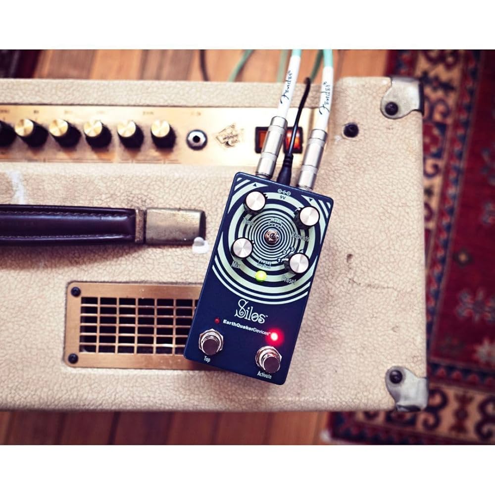 EarthQuaker Devices Silos Multi-Generational Time Reflection