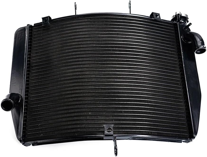 ♡奈桜♡さま御専用 ヘレンド ウイーンの薔薇ピンク スカラップ