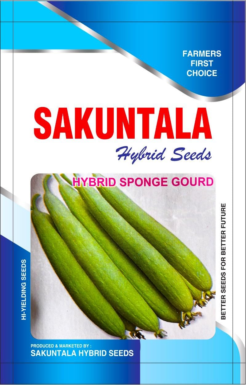 Hybrid Sponge Gourd Seeds for Balcony Garden Turai Beej (Pack of 50 seeds)-image-14