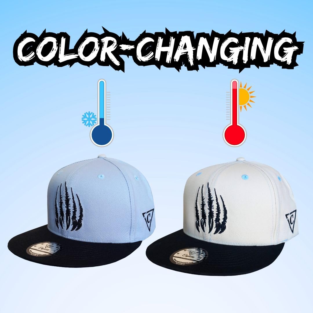 Capiche [89 Variations] Special Series Snapback Cap - One Size - Unisex - Men - 2