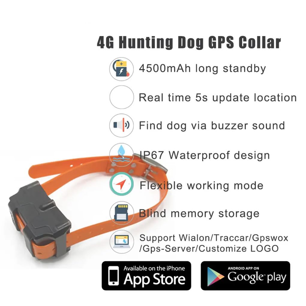 Localizzatore GPS per animali domestici 4G in tempo reale, collare GPS per cani in tempo reale, sicurezza, recinzione geografica, esterno