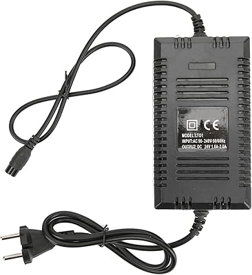 Carregador de Bateria de Lítio, Conveniente para Transportar Carregador de Bateria, para Ciclistas, Lojas de Carros, Ciclismo, Substituição Maravilhosa  