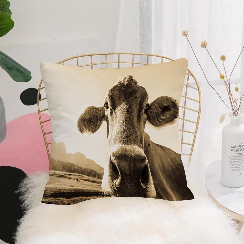 HYOSXW Cushion Cover,Throw Pillow Case Home Decorative for Living Room Bedroom Sofa Chair 16X16 Inch,ox，funny cow at the kaisergebirge mountain，ox,Pillowcase 40X40cm