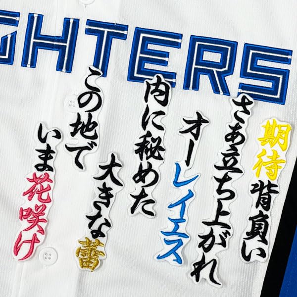 レイエス 受注販売 応援歌 ユニフォーム Lサイズ ファイターズ 新品 Amazon.co.jp: ファイターズ 刺繍ワッペン レイエス 応援歌 白