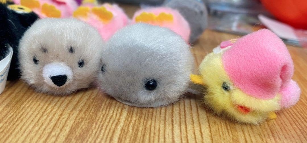 【バンブー】ぴよりーな バンブー】ぴよりーな ぴより～なオフィシャルサイト｜株式会社ひよこ