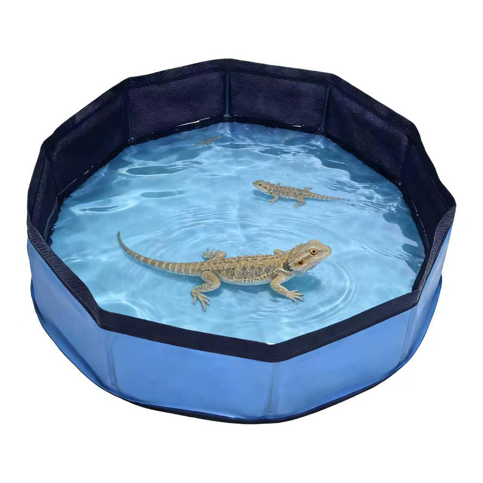 Mini piscine pliable Eooqi de 80cm pour chiens et enfants