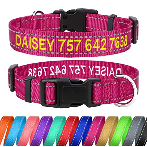 Top 15 Best Embroidered Dog Collars For 2022 BNB